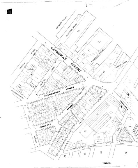 Digital Sanborn Maps (Black & White) [Kentucky] {1867.
